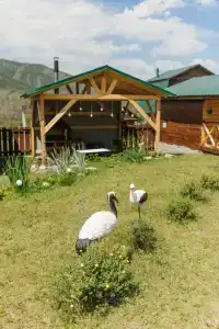 Усадьба Саламовых Эмежель - 12
