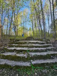 Неясыть - 8