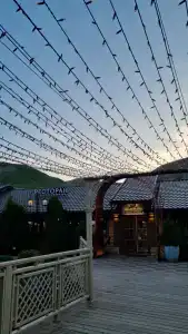 Главрыба - 63