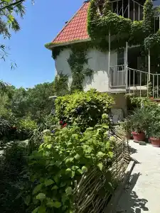 Теремок - 27