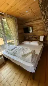 Кактус Арт - 20