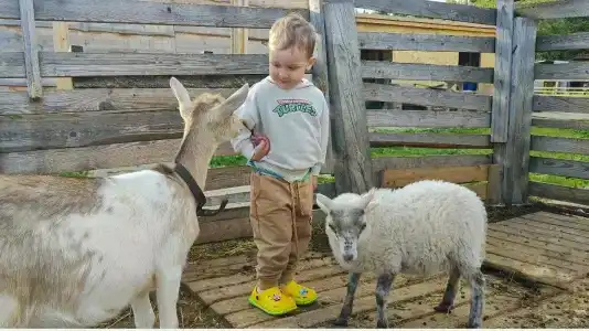 Семейная мини-ферма Фазенда - 95