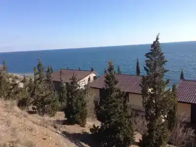 Багира - 42
