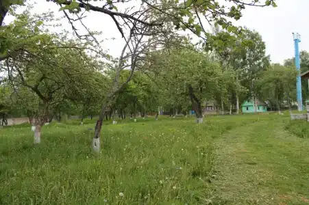 НовГУ - 11