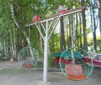 Салют - 12