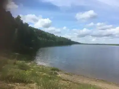 Бузим Красноярск - 12