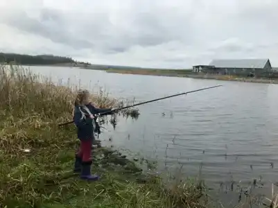 Удача - 1