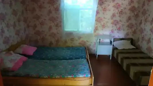 Лесная сказка - 97
