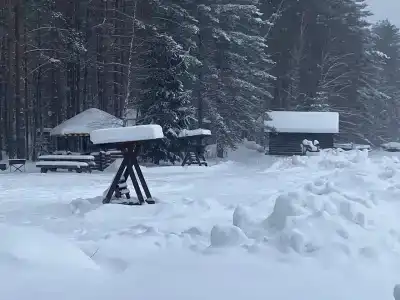 Медовец - 18