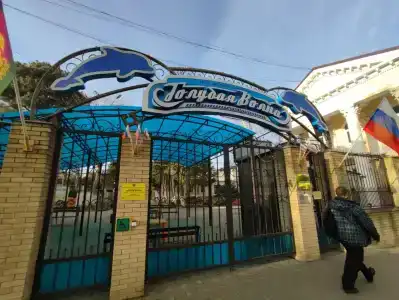 Голубая Волна - 29