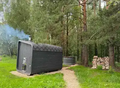 Южный Бор - 1