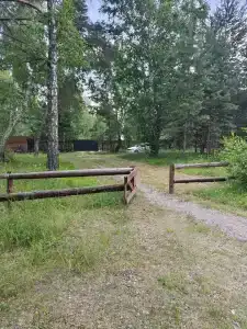 Ветер в соснах - 44