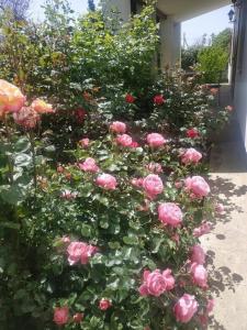 Home Sweet Home - 2