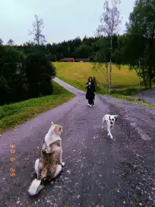 Хутор Ярви - 27