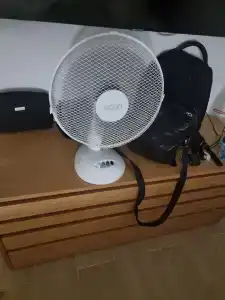 The Basilian Minsk, Curio Collection By Hilton - 59