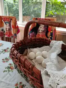 Сирин дом - 31