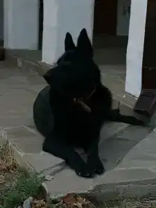 Станъ - 10
