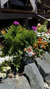 Под небом Архыза - 38