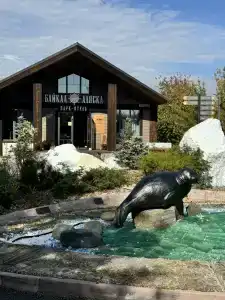 Байкал-Аляска - 63