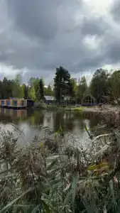 Добролес - 24