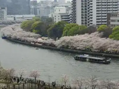 Noku Osaka - 6