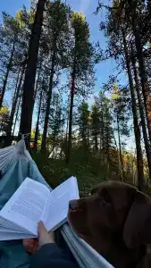 Глэмпинг Гиперборея - 89