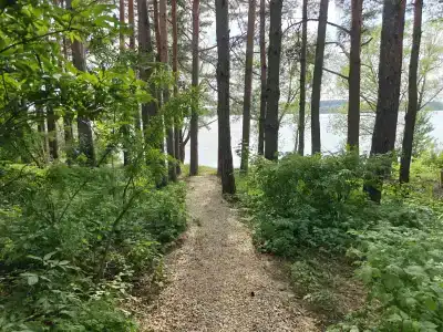 Сосновый берег - 13