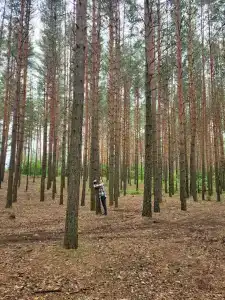 Дом на озере с баней - 26