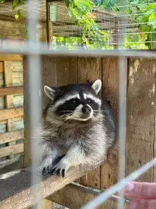 Бирюзовая Бухта - 16