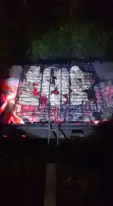 Смородина - 74