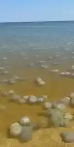 Морская - 2