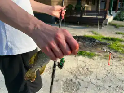 4 Сезона - Нефтяник - 37