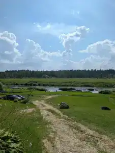 Гнездо - 25