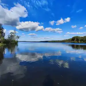 Бухта Лапиковых - 44