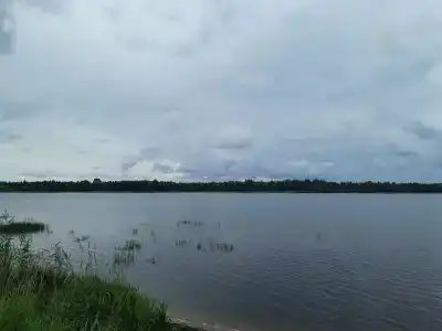 Каргополь - 62