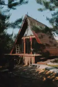 Forest camp - 0