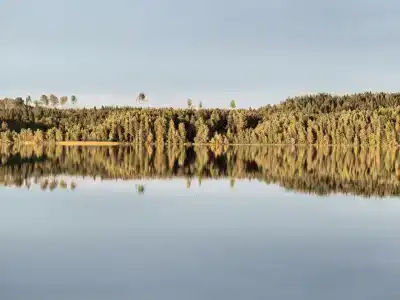 Вегвизир - 21