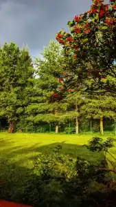 Арт-усадьба АРШин - 27