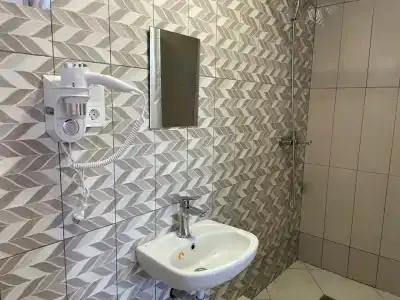 Фиеста - 41