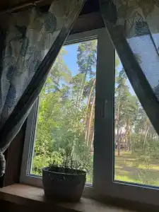 Лесной Бункер - 50