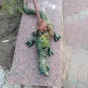 Домик у моря - 31
