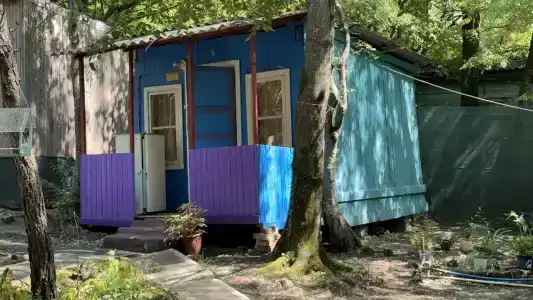 Эдельвейс - 22