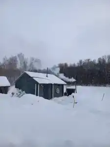 Гнездо - 39