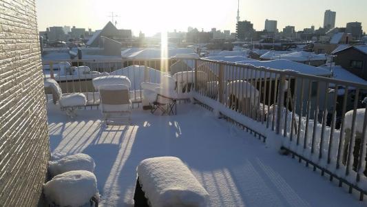 Tokyo Guest House 2020 - 8