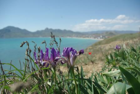 innrock - 38