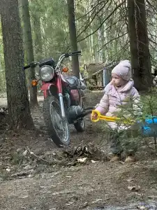 Северный олень - 44