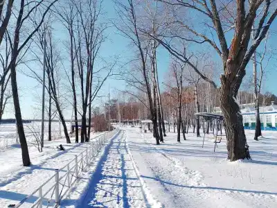 Шарголь - 32