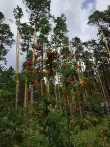 АО Тамбовкурорт - 20