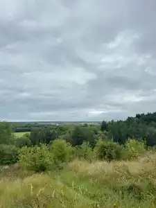 Norke Есенинская Русь - 14