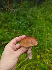 Любашин хуторок - 10